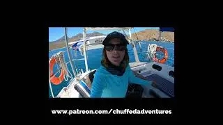 Setting Sail for the Islands #Mexico #animals #sailing