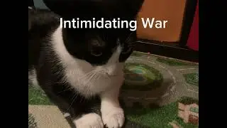 Intimidating War - MrDooley126