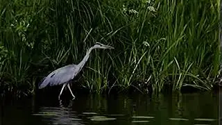 Brandenburg an der Havel