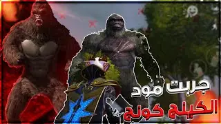 تجربه مود الكينج كونج دمااار🔥 PUBG MOBILE