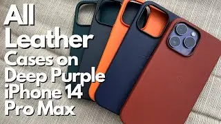All Apple Leather Cases on Deep Purple iPhone 14 Pro Max- Umber, Forest Green, Ink, Midnight, Orange