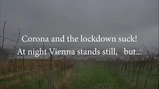 Corona and the lockdown suck!