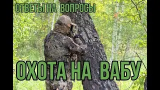 Охота на самцов сибирской косули во время гона на манок.
