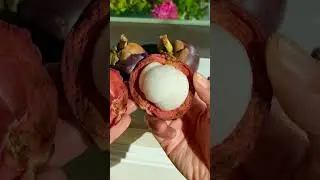 How to open a Mangosteen (the Filipino way) #mangosteen