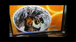 HDMI адаптер для передачи изображения по Wi-Fi