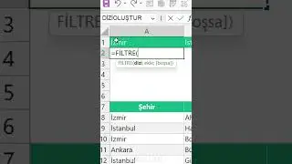 Using Filter Formula in Excel 