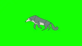 Legoshi wolf running cycle green screen