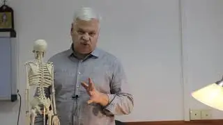 Лечение заболеваний позвоночника