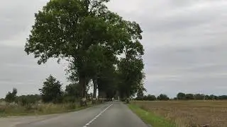 дорога день1
