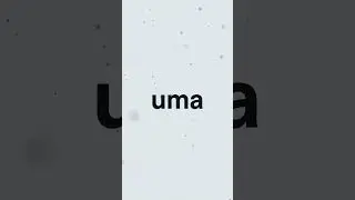 AutoResponder para WhatsApp | Trailer 3 Vertical | PT