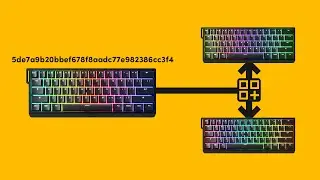 How to Share and Import Profiles on Your Wooting Keyboard