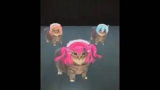 What the heck is this..