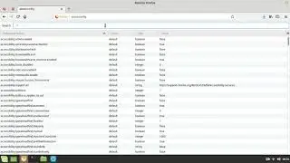 Disable Javascript on Firefox