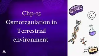 Osmoregulation in terrestrial environment | class 12 biology