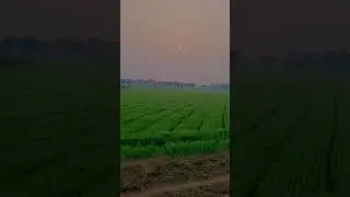 सारे जहाँ से अच्छा हिन्दोस्ताँ हमारा🇮🇳