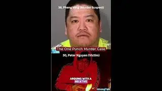 The One Punch Murder Case 