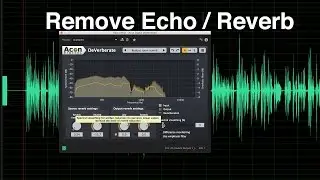 Remove Echo and Reverb from Dialogue Audio  with 3rd Party Plugins