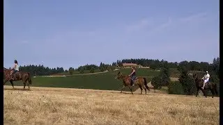 This is Yamhill County, Oregon