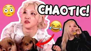 Rosé in the APT era was a mess!