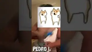 Caparro chacheneguer - nunca es suficiente 😂😂