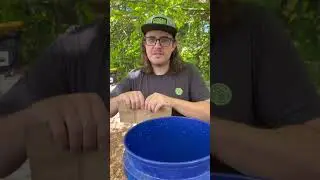 We Made a DIY Worm Farm! 