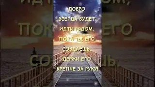 Добро всегда будет идти рядом, пока ты его создаешь. #мудрыеслова #доброта