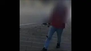 milli güvenlik sorunu olan bir köpektapar
