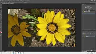 Photoshop jpg to png convert