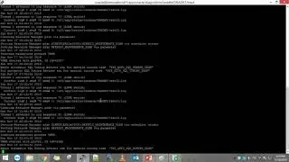 oracle 11g alert log and trace file