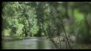 FREELENSING TEST 16