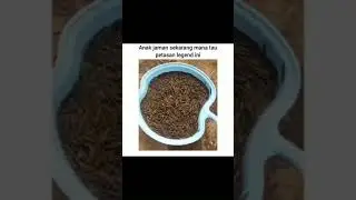 jangan sampai punah #shorts #komedi #viral #ngakak #sekilaskomedi