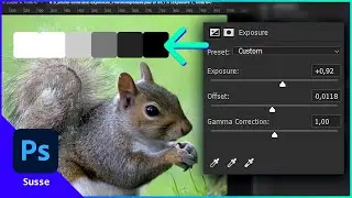 BRILHO, CONTRASTE e EXPOSIÇÃO: o são e como usar | 6.5 | Curso Photoshop Susse