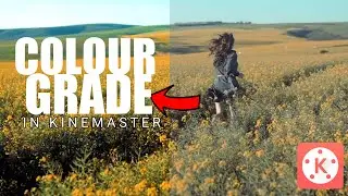 Best Colour Grading in Kinemaster || Android
