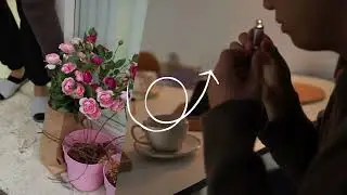 Arium 0222videomp4