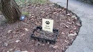 new at vogel state park: stick library for dogs #wuffwuff