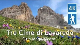 🇮🇹 TRE CIME DI LAVAREDO – Hiking to FALL IN LOVE with Alpine Flowers fr om Cadini to Lavaredo | 4K