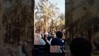 Хурмо Пайгамбаримиз С.А.В. яхши курган дарахт