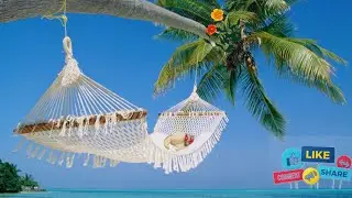 Relax On Sunday ~ Morning Chill Mix 🍃 English songs chill music mix mind relax music love