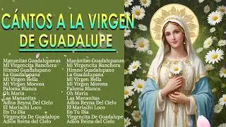 Canciones A La Virgen De Guadalupe✨La Virgen De Guadalupe🎶Cántos a la virgen de Guadalupe