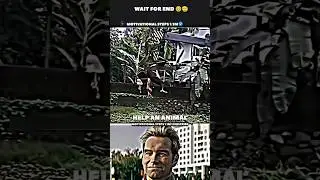 Risking one's life  ~Sigma rule 🔥😎 #shorts #motivation quotes #attitude #shortfeed #viral