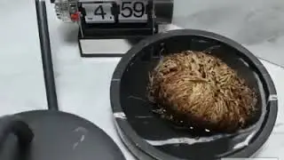 شاهد نبتة غريبة سبحان الله