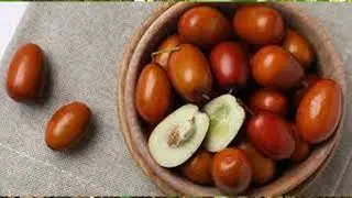 Ziziphus or Unabi - planting and care in the garden. Handling the seedling. Ziziphus varieties.