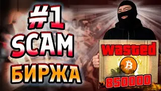 №1 БИРЖА ДО ПРИХОДА БИНАНС - ИСТОРИЯ СКАМА