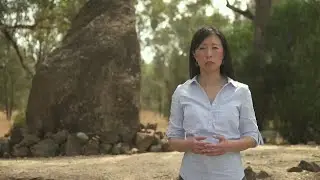 The Colonial Project