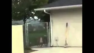 When you mess with the wrong dog!