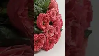 Пионовидные садовые розы #shorts