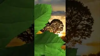 عندما تكون مُغرم تشاهد كل شي على شكل ❤️