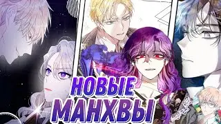 ОБЗОР НА НОВЫЕ СЕДЗЕ МАНХВЫ [2] Попаданки, бати с травмой и многое другое прилагается