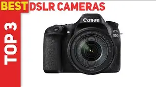 Top 3 Best Dslr Cameras in 2021?