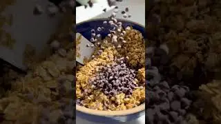 ♡Chocolate Chip Granola Bars- Weelicious